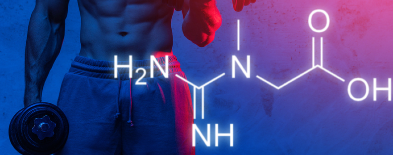 彼らはエネルギーを増加させますか?